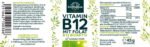 ⁦فيتامين ب12 مع حمض الفوليك.Vitamin B12 mit Folat - 500 µg B12 und 400 µg Folat  - 180 Tabletten⁩ - الصورة ⁦2⁩