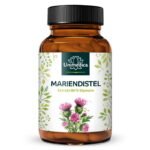مستخلص شوك الحليب.Mariendistel-Extrakt - 480 mg Silymarin pro 3-Tagesdosis (1 Kapsel) - 90 Kapseln